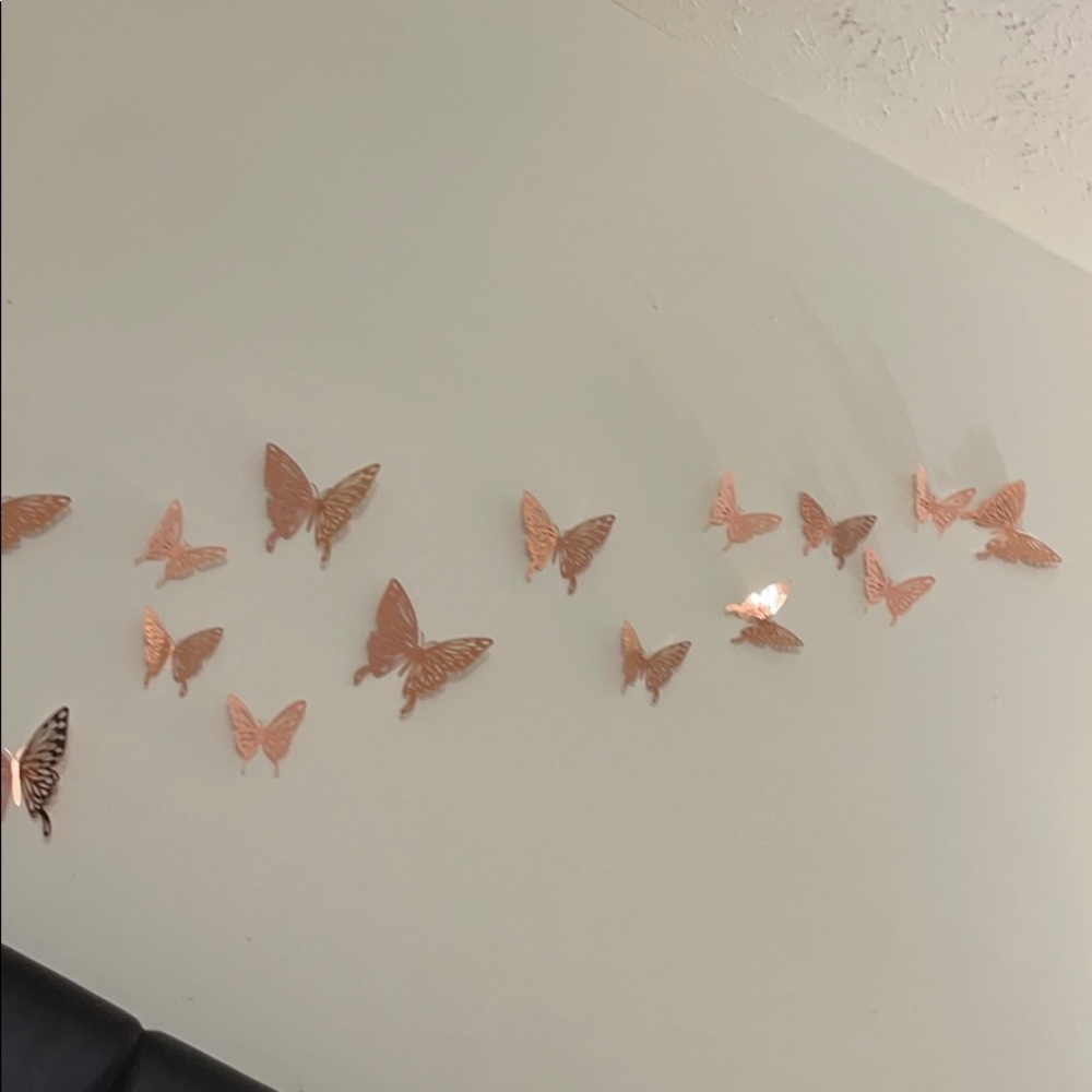 Meet your Posher, Jancy